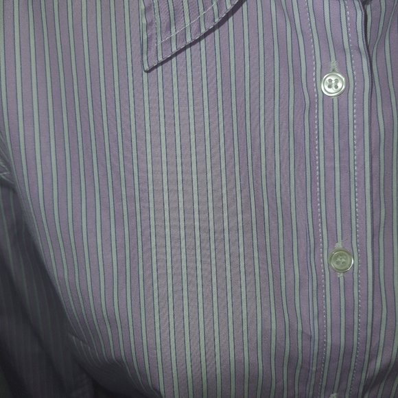 J Crew Women's Classic Cotton Long Sleeve Pinstripe Casual Shirt Violet Purple M - Picture 6 of 9